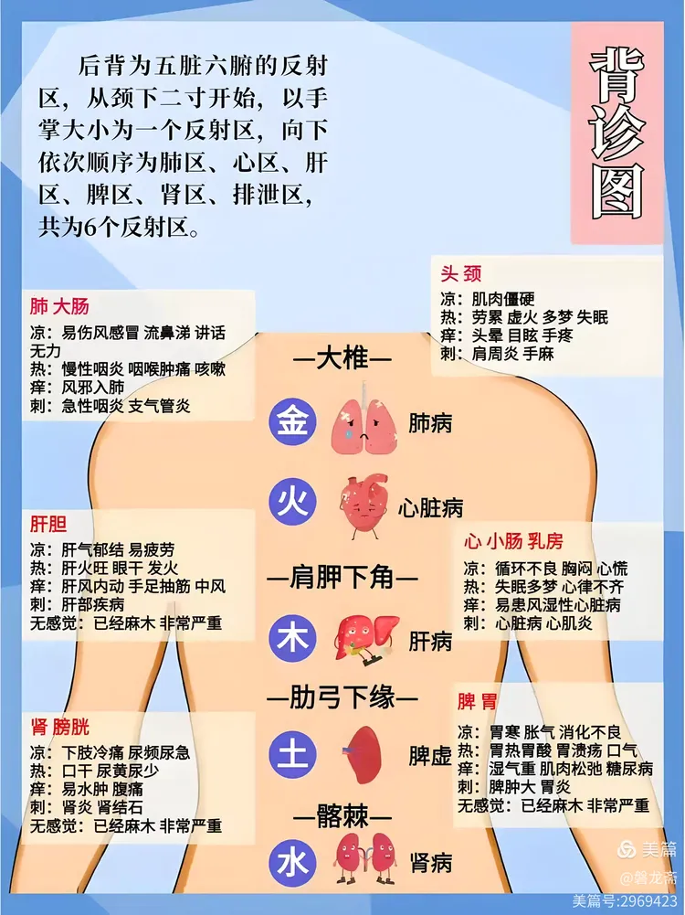 脚全息,面部全息,手全息,背部全息,耳朵全息穴位
